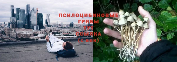 соль ск Алексин
