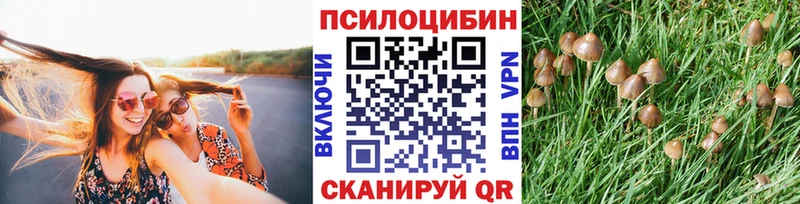 KRAKEN сайт Саки Псилоцибиновые грибы MAGIC MUSHROOMS